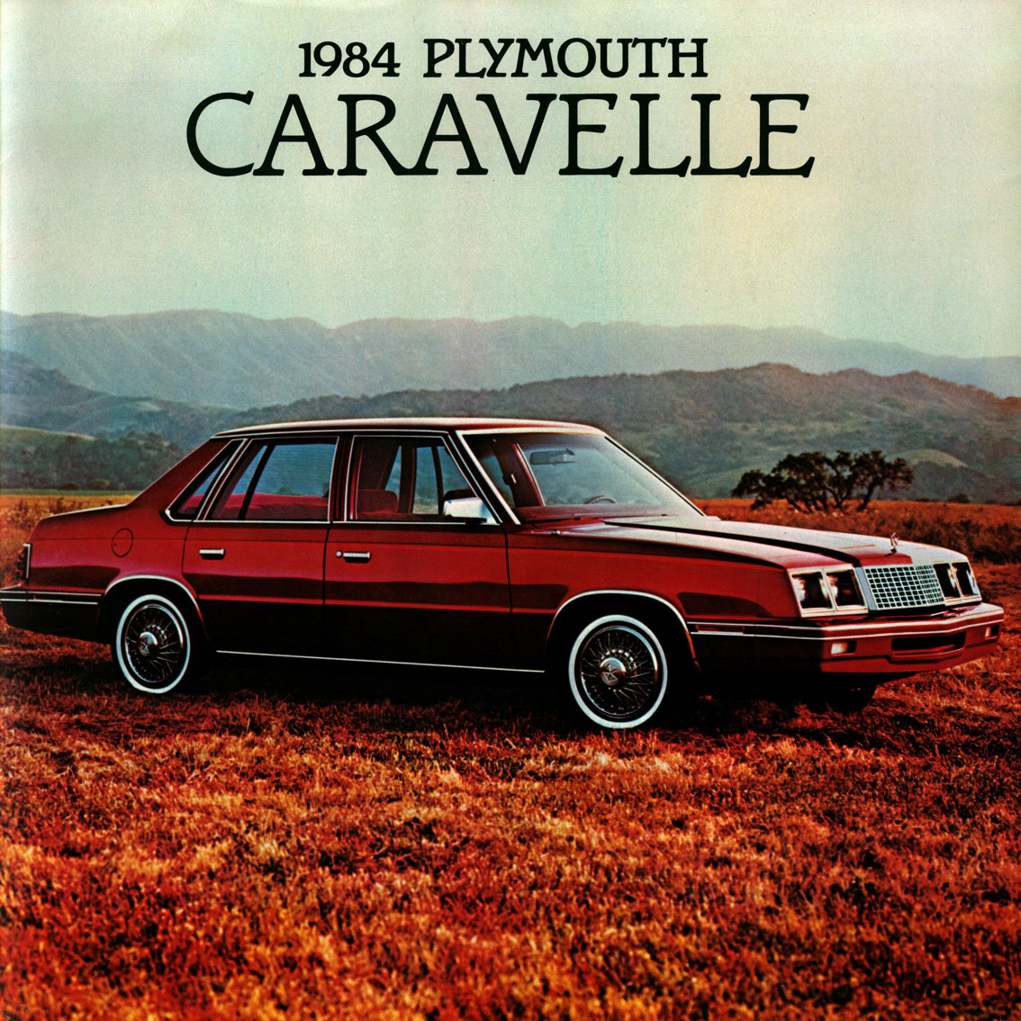 n_1984 Plymouth Caravelle (Cdn)-01.jpg